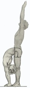 m19.jpg