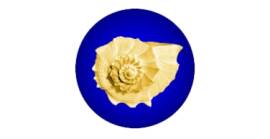 Friends of World Teacher Trust