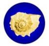 Friends of World Teacher Trust